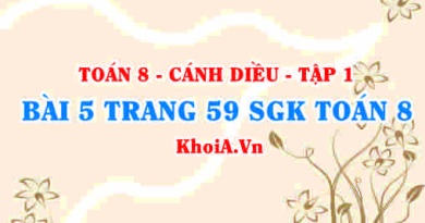 Bài 5 trang 59 SGK Toán 8 tập 1 Cánh Diều